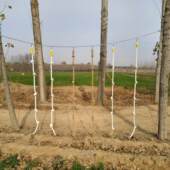 户外斜坡爬绳立柱幼儿园感统体适能训练器材儿童体能攀爬绳索玩具