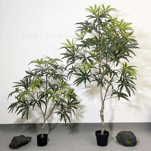 仿真孔雀木植物树家居装饰假植物落地绿植盆栽室内大型孔雀木绿植