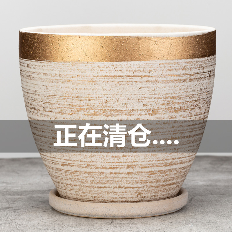 梅金枝玉叶仙客来花盆红掌花鸿运当头盆家用种花盆