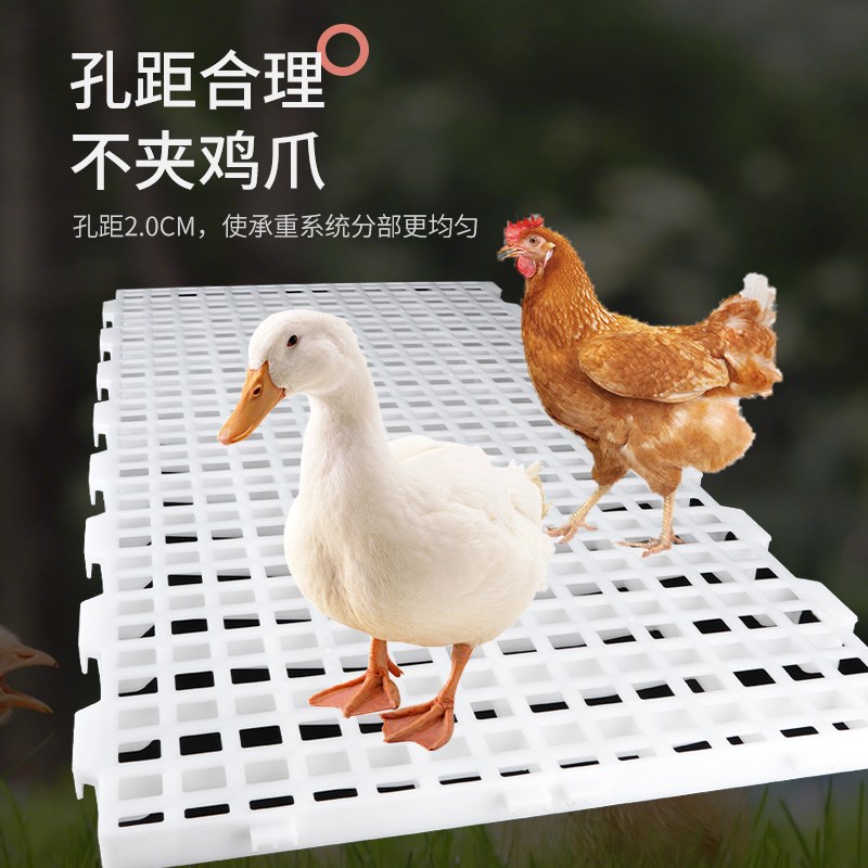 鸡用漏粪板塑料鸡舍家禽漏粪网格板鸡鸭鹅漏屎地垫养殖鸽子漏屎板