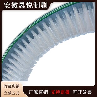传动尼龙皮带刷磨革机皮条刷定制鞋底清洗机帆布输送带毛刷包邮