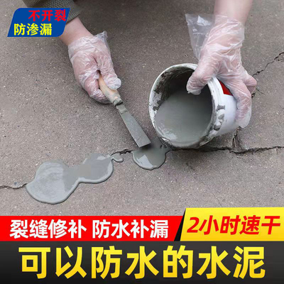 能者堵漏王快干水泥房屋防水补漏涂料裂缝修复屋顶墙面防水材料