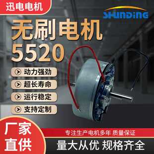 5520无刷直流电机筋膜枪电机12V外转子电机大功率高转速气泵电机