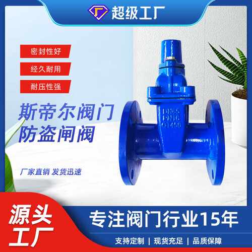 防盗闸阀 锁闭软密封闸阀 球墨铸铁法兰闸阀 天津FDZ45X-16Q