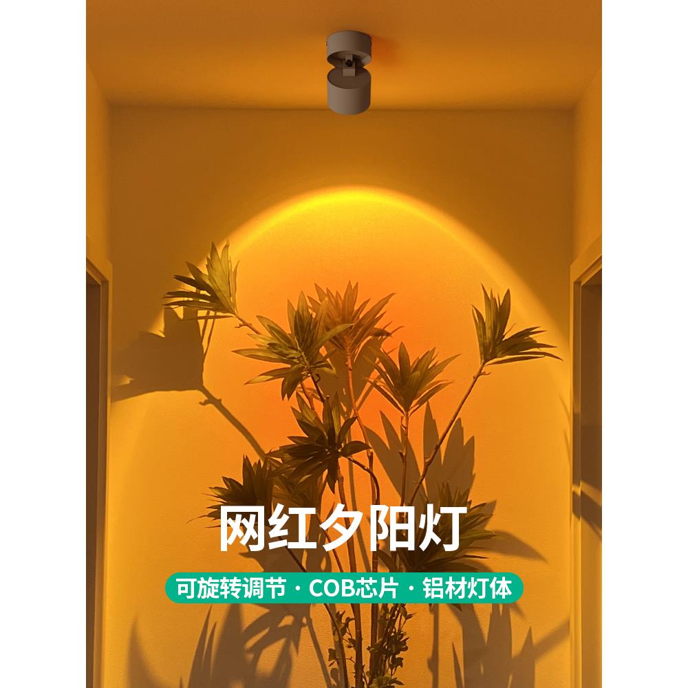 明装射灯日不落射灯洗墙可调角度家用客厅玄关照画氛围灯商铺照明