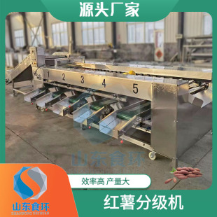 土豆红薯分级机 自动称重分级机 樱桃苹果火龙果清洗分级流水线