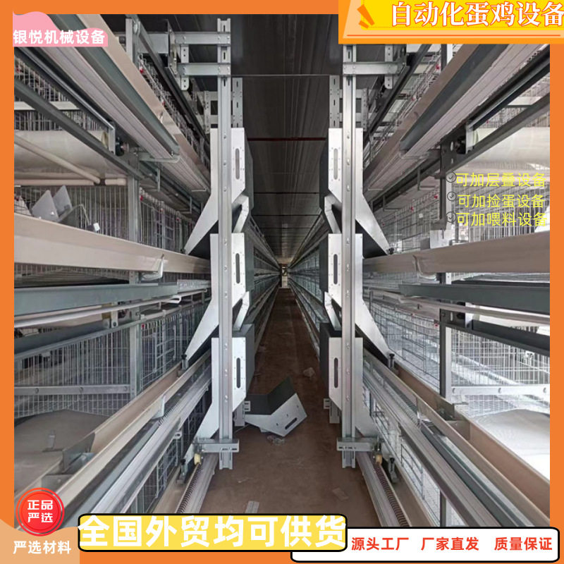 自动化三层/四层小层叠H型立体蛋鸡养殖设备/可配捡蛋喂料清粪
