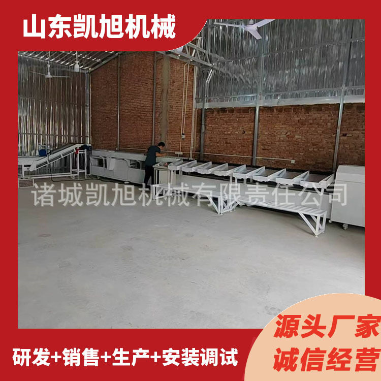 桃子全自动选果机油桃芭乐百香果重量筛选分级机克重分选机