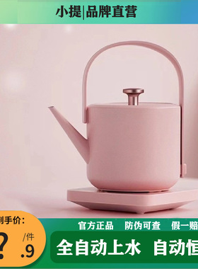 小提电热水壶不锈钢家用提梁壶泡茶专用烧水壶小型自动断电煮茶壶