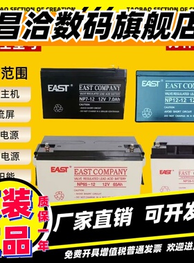 EAST易事特蓄电池NP-12V100AH65A38A24A17AH12AH消防EPS直流屏UPS