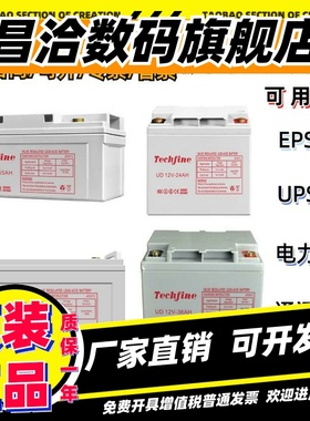 Techfine泰琪丰蓄电池UD12V7AH9A12A24A38A40A65A100A120A150A200