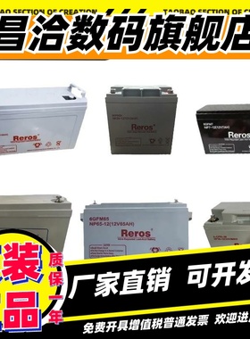 Reros雷诺士蓄电池NP12V120A100A65A40A38A24A17AH消防EUPS直流屏