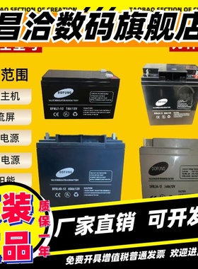 DOFUNG东丰蓄电池DFB12V100AH65AH40AH38AH24AH20AH17A直流屏EUPS