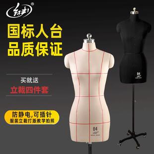 红邦人台立体裁剪女装设计服装裁缝制衣模型教学84国标准立裁模特