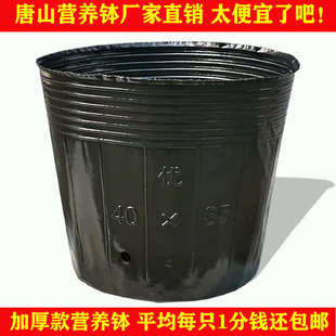 加厚营养钵育苗钵育苗塑料土一次性大杯营养花盆黑色号盆新疆包邮