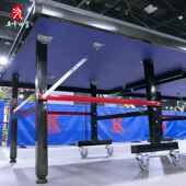 乒乓球桌可折叠家用专业标准乒乓桌室内乒乓球台移动兵乓球桌案子