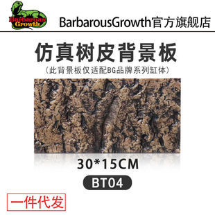 香槟木树皮 蜘蛛守宫蜥蜴躲避饲养箱造景树皮背景火玫瑰蜘蛛躲避