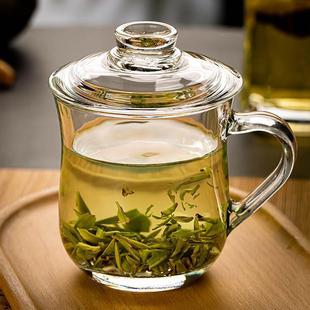 耐热玻璃茶水杯带盖茶饮杯加厚把手泡茶杯子办公家用喝水杯 2023款