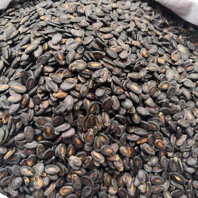 新货小片生西瓜子安庆宿松特产许岭马陵打瓜子黑西瓜子包邮