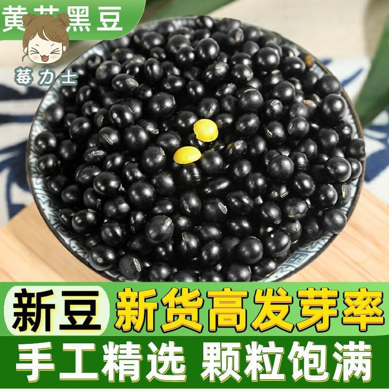 新货黄芯自产500g杂粮黑豆黄心豆豆类农家五谷非绿芯大自产包邮