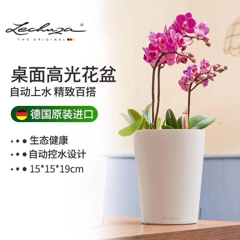Lechuza德国进口花盆吸水智能树脂家用桌面绿植花卉创意种植透气