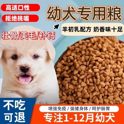 狗粮幼犬专用10斤小型犬泰迪比熊柯基金毛拉布拉多幼狗通用适口粮