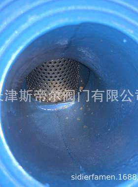 法滤兰y型过滤器 Y型球墨铸铁滤器GL41H-16 全通径过器 天津HGL41