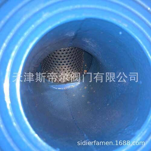法滤兰y型过滤器 Y型球墨铸铁滤器GL41H-16 全通径过器 天津HGL41