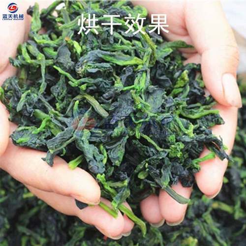 油菜烘干干 空心气能热泵机小油菜脱水干燥机 LT-YCG油菜叶烘干设