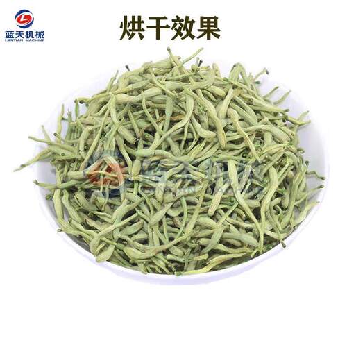 金装银花空气能烘金烤房 金银花电银烘LT-JYH干箱免安 花杀青烘干