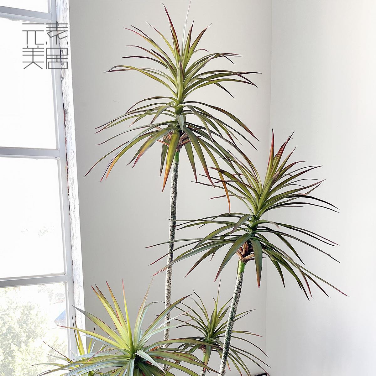 【马尾铁】北欧仿真植物七彩千年木盆栽绿植假树大型落地摆件造景