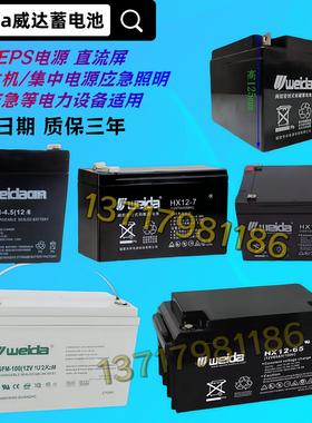 Weida威达蓄电池6-GFM/HX12-65 12V100AH 17 24 38 40 65铅酸电瓶