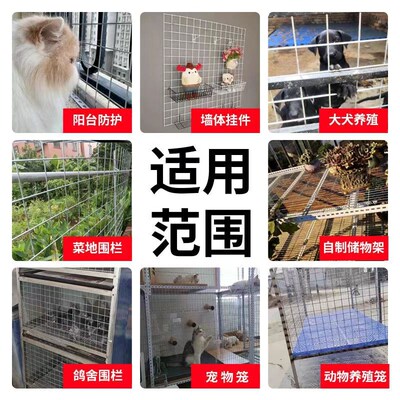 热销镀锌网片鸡笼狗笼鸽子笼铁丝B网围栏网鸽舍地网狗笼底网小孔