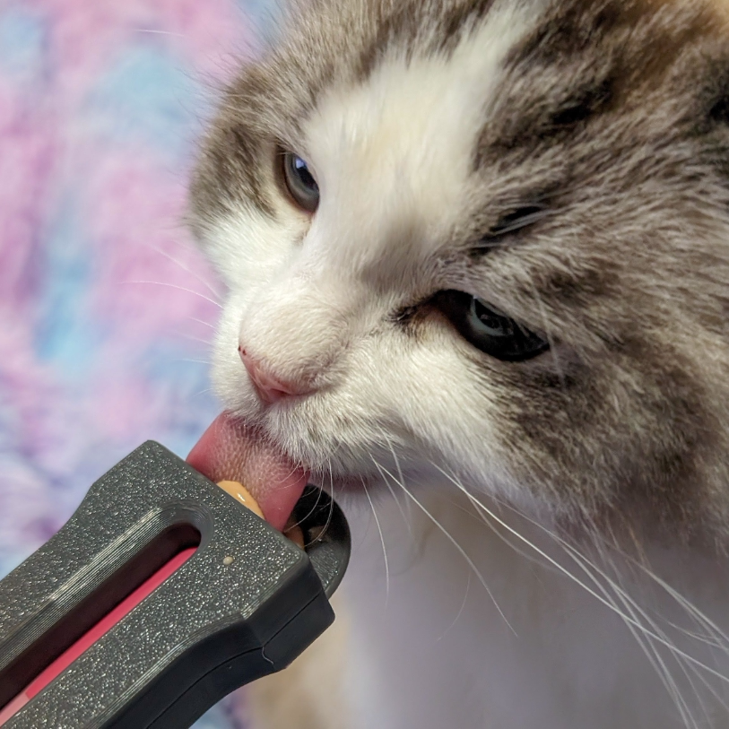 猫咪喂食器猫条挤压神器