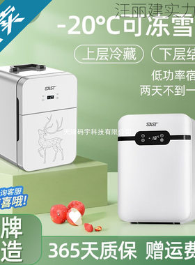 车载迷你小冰箱车家两用冷藏箱