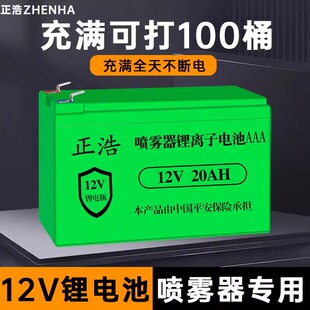 德国品质12v锂电池电动喷雾器农用电动打药机大容量锂电池音响儿