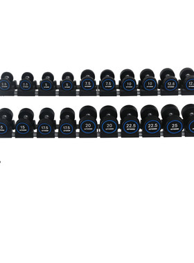 康乐佳K013商用健身房专用十组哑铃架（含10对KPOWER哑铃275KG)