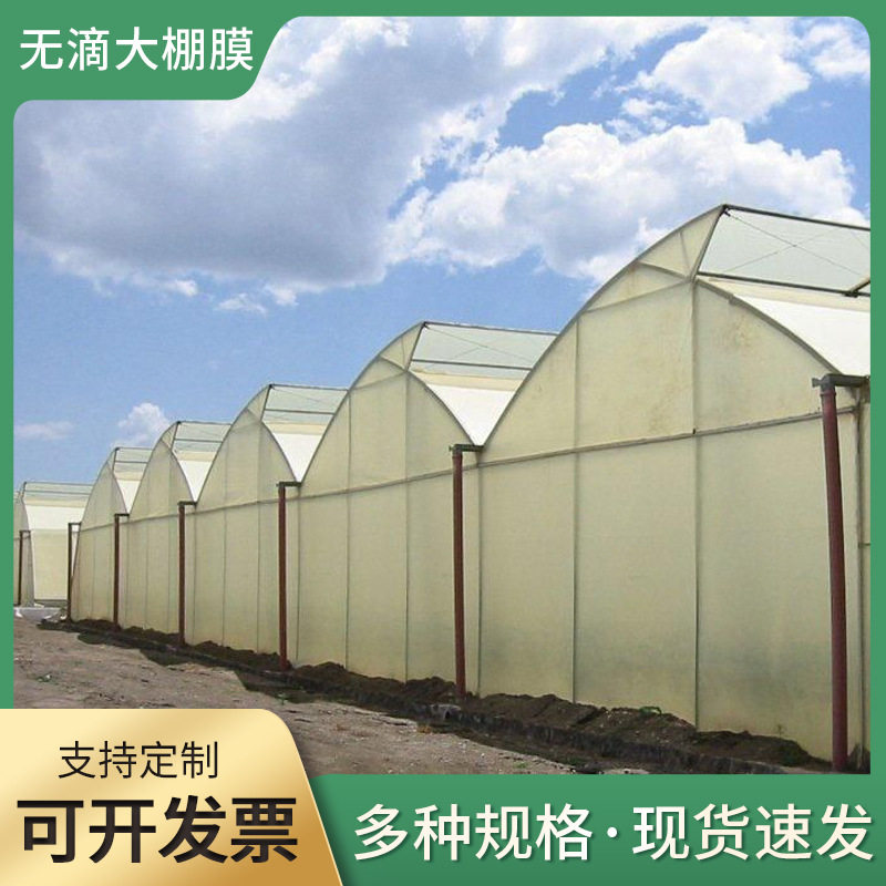 透明塑料长寿无滴双防膜 农业PE透光西瓜葡萄草莓大消雾棚膜