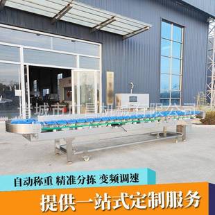 鸡腿鸡珍料盒式自动称重分选机 对虾海参分选机 水果重量分拣机