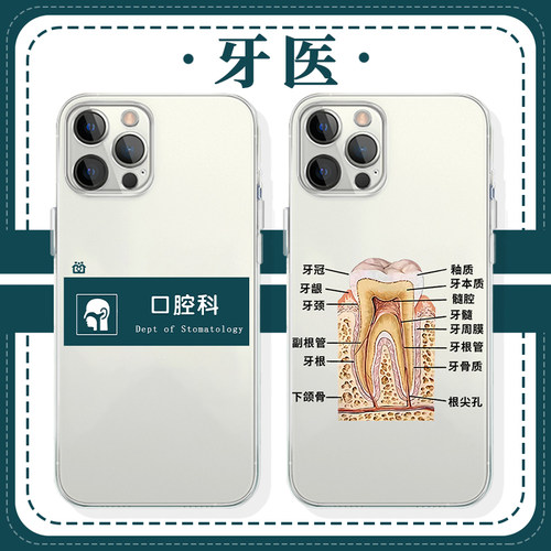 牙医医学生专用透明软壳