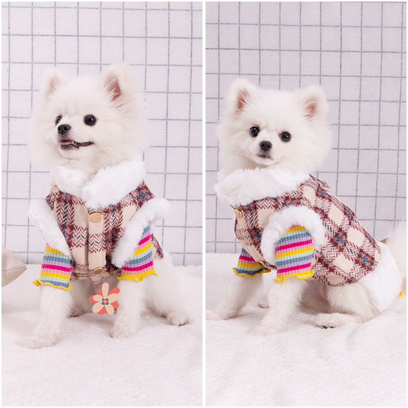速发博美衣服冬装小型犬泰迪比熊柯基冬天保暖棉衣小猫咪服饰