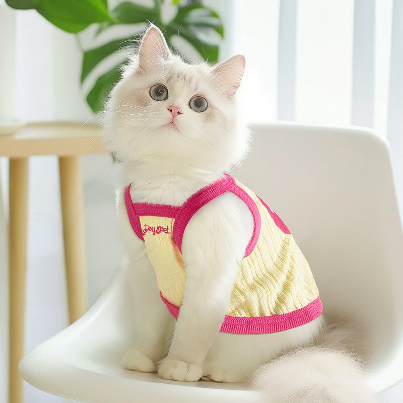 速发猫咪衣服春秋款防掉毛薄款吊带背心纯棉德文蓝无毛猫布偶小狗