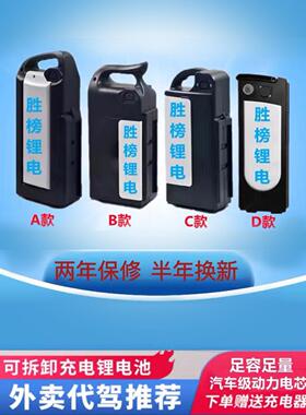 电动车锂电池汽车级别大容量充电锂电池电瓶车锂电池48v10ah20ah