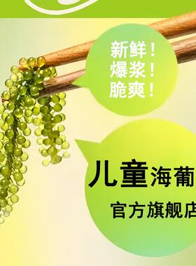 儿童海葡萄精美新鲜盐渍海葡萄即食泡发绿色鱼子酱蔬菜植物海藻草