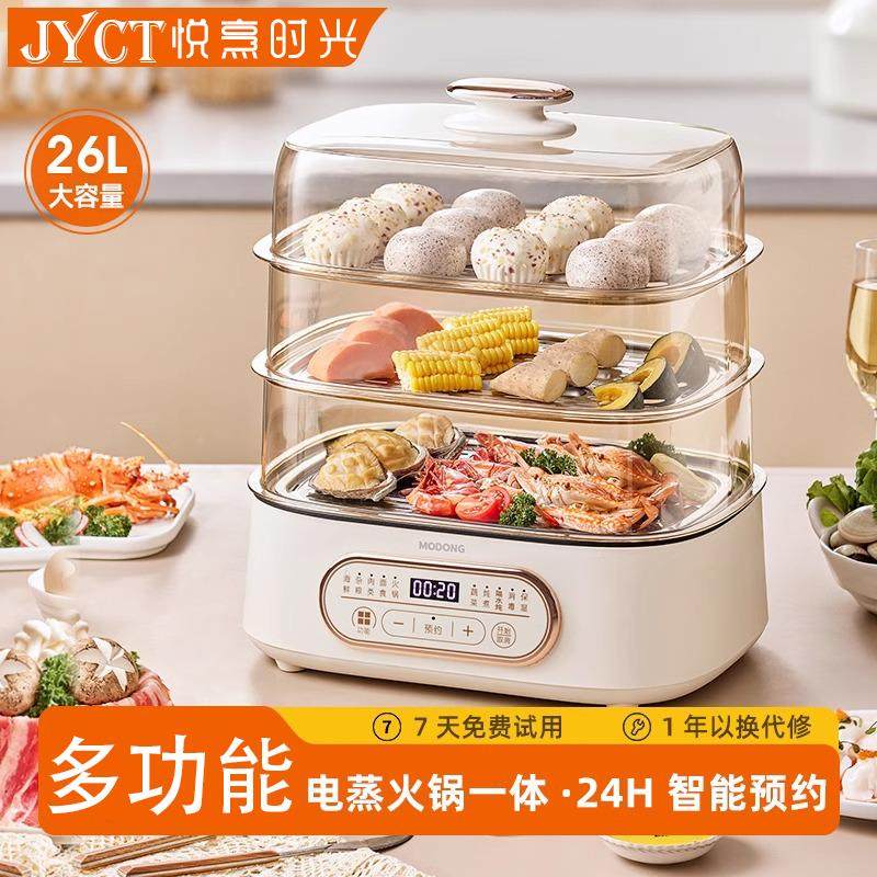 德国电蒸锅家用蒸炖煮一体小型多功能蒸汽锅大容量三层多层电蒸箱