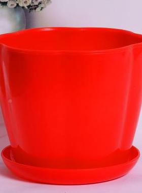 厂家高浓度E大红色母粒颜高光P红母分散料好易流动IEP色通用