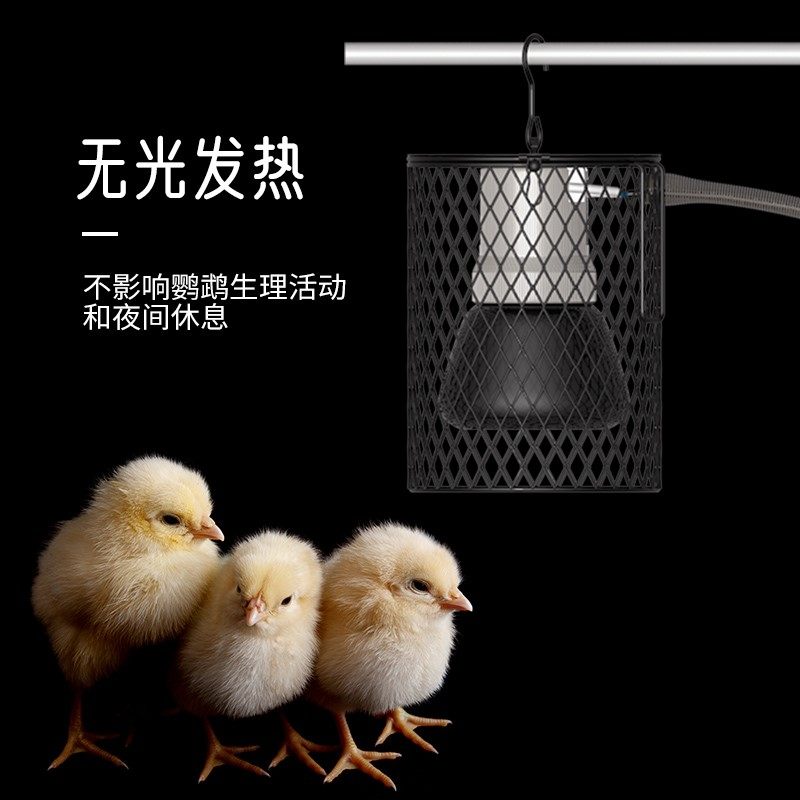 芦丁鸡保温灯用品饲养箱陶瓷夜间无光加热灯宠物冬天育雏保暖灯泡,农机/农具/农膜,灌溉工具,淘宝优惠券,粉丝福利购,淘宝优惠卷