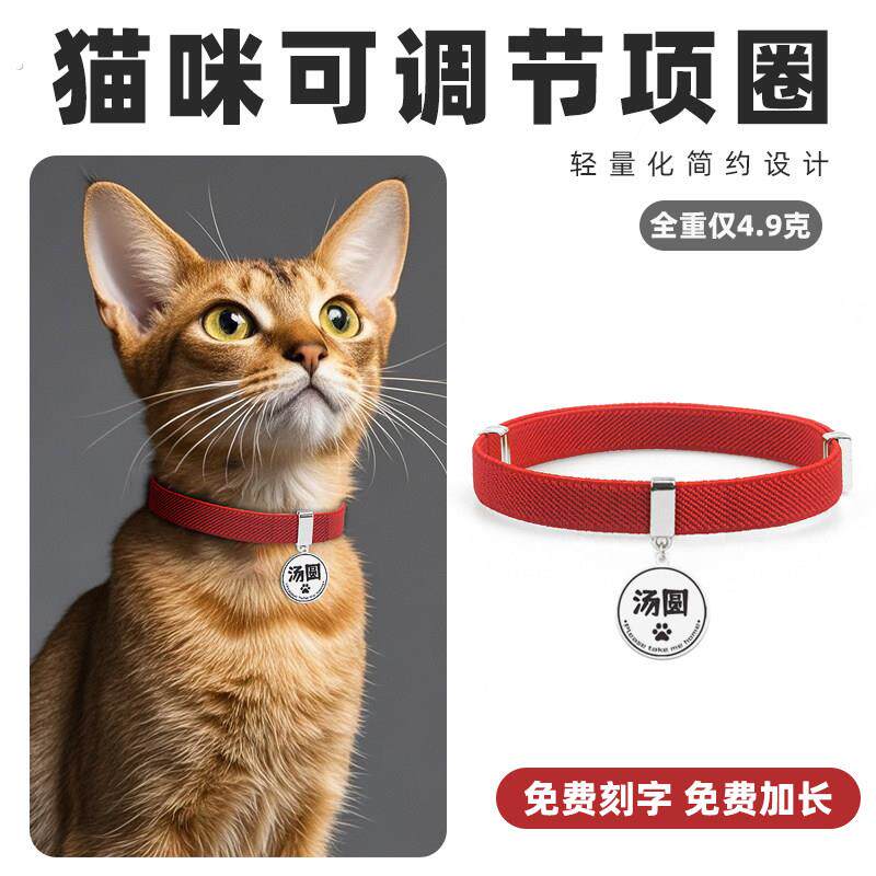 猫咪项圈刻字防丢失脖套猫牌定制铃铛项链宠物身份识别狗狗颈圈