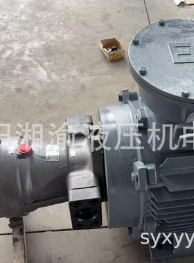 160YCY-YYB225M-6内轴直插式160PCY-Y225M-6油泵电机组125SCY-225