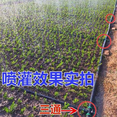 滴灌带农用微喷喷水雾化灌溉微喷C喷灌滴灌设备自动浇水器水管厂